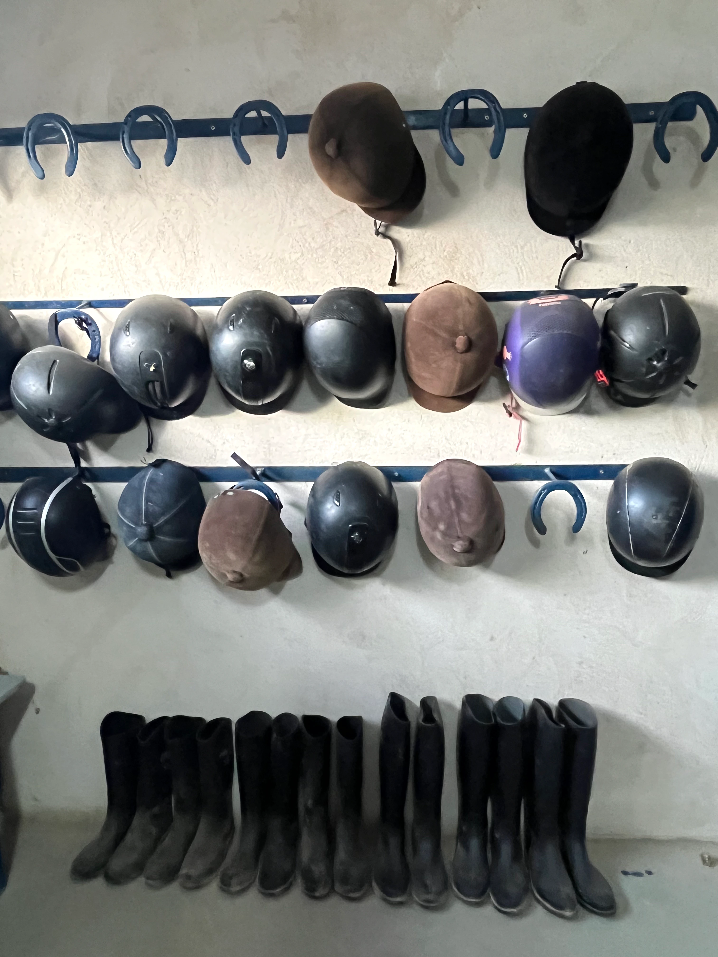 Cascos y botas de equitación colocados en el centro hípico