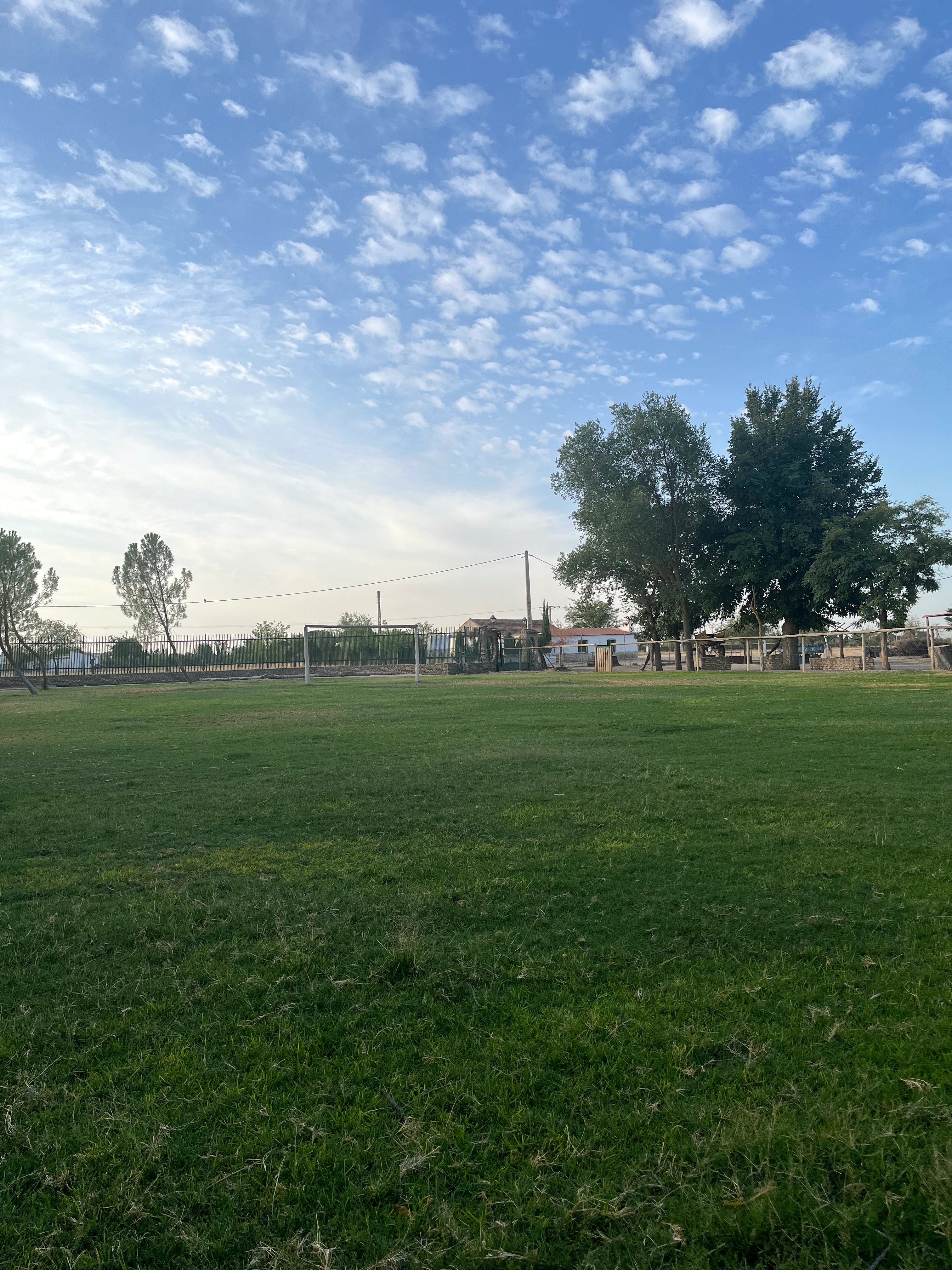 Zona de césped con una portería y árboles en la finca