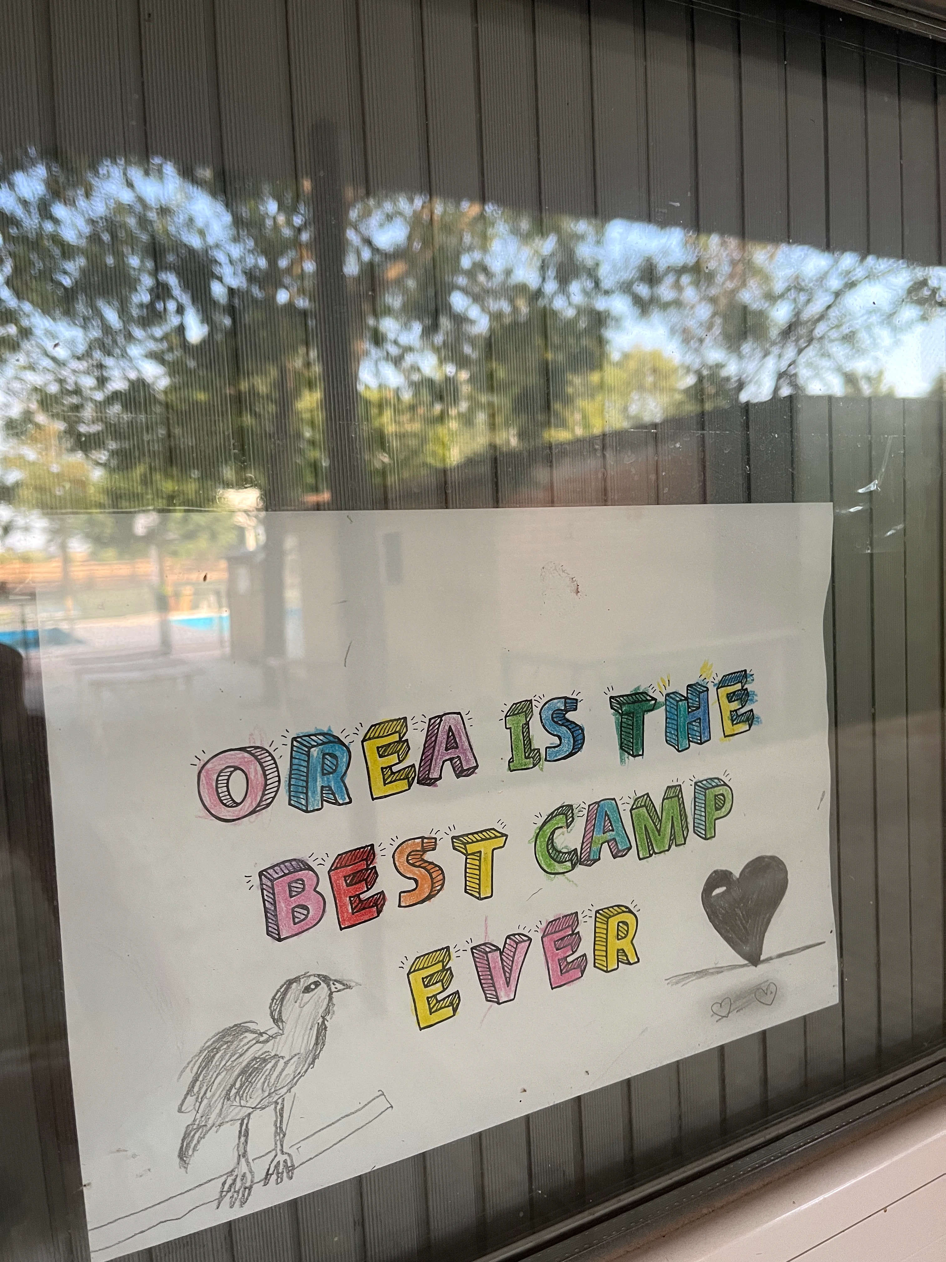 Dibujo de Orea Camp expuesto detrás de un cristal